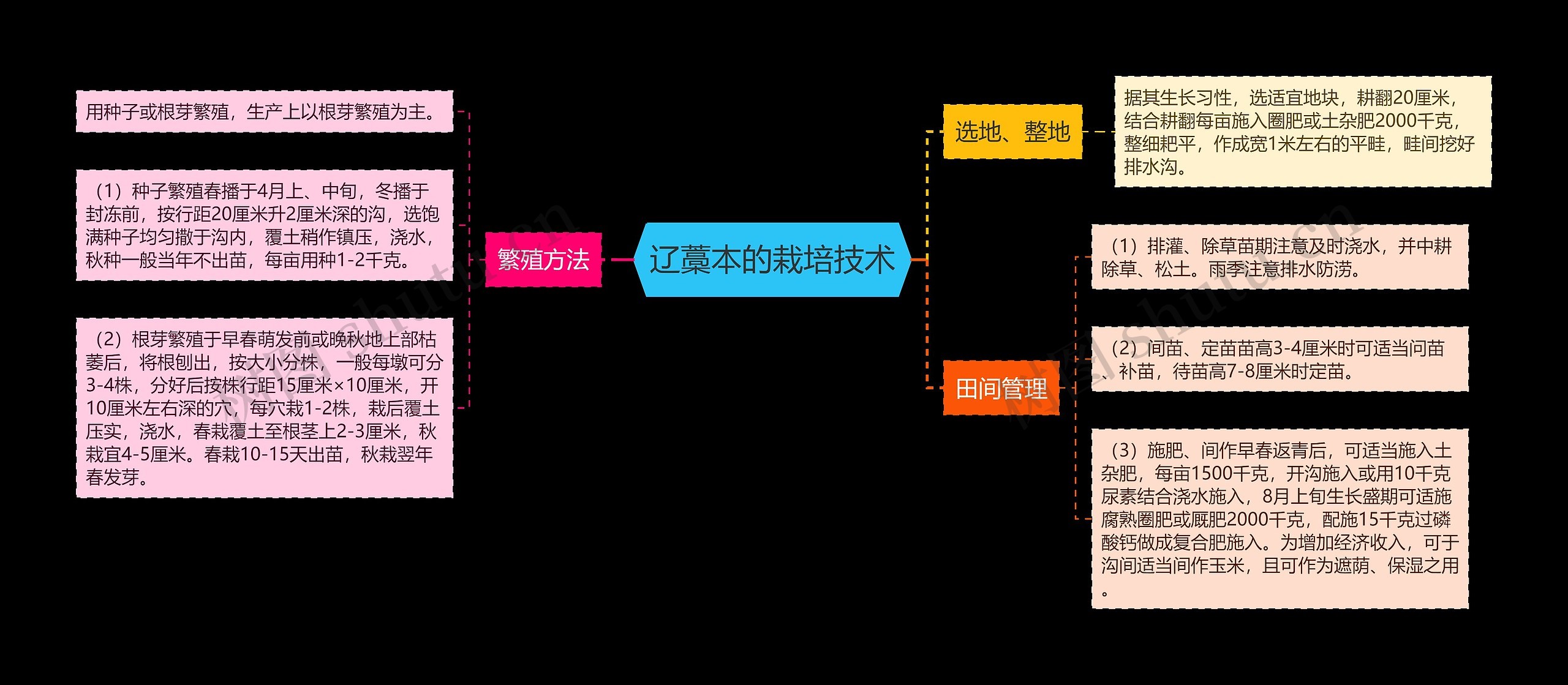 辽藁本的栽培技术