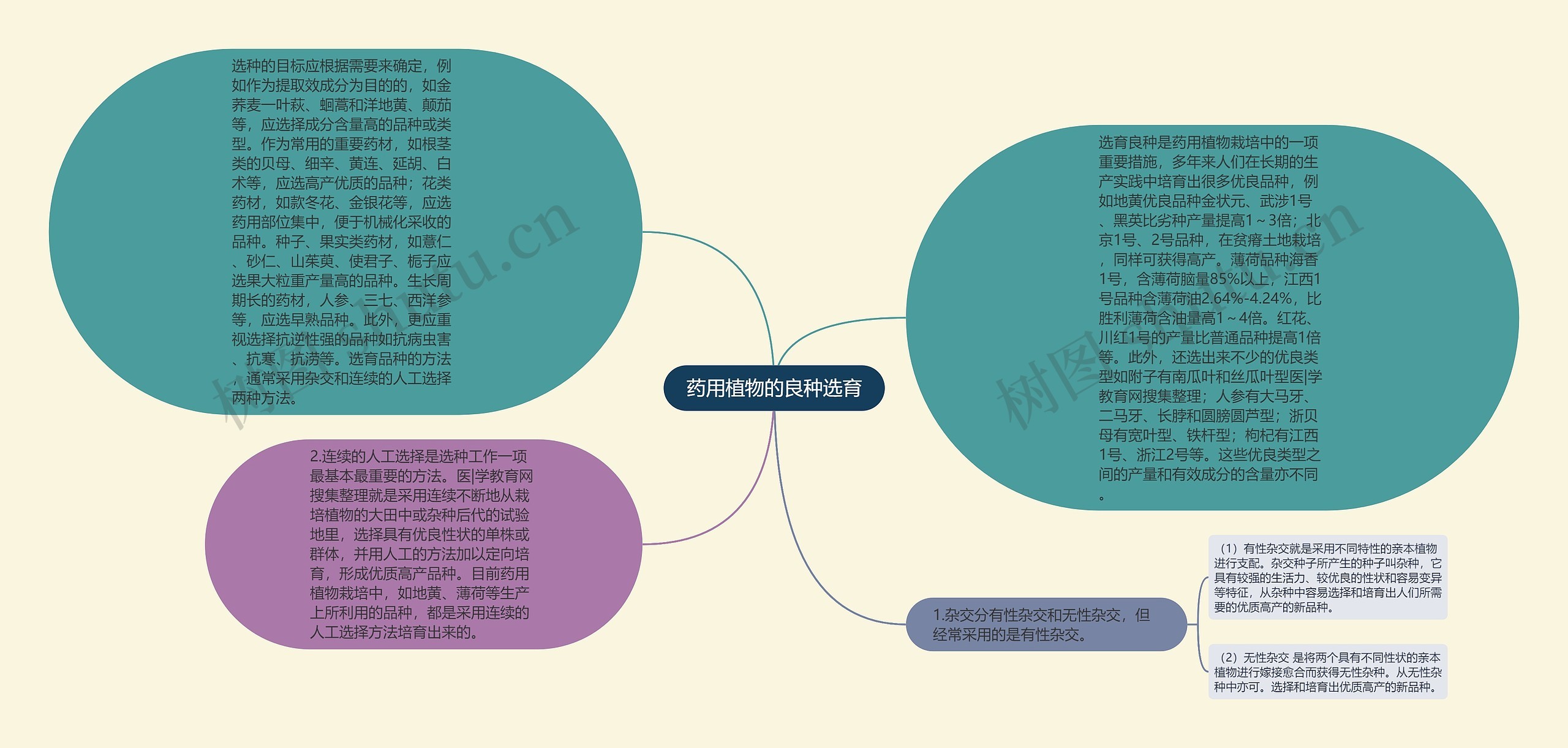 药用植物的良种选育思维导图