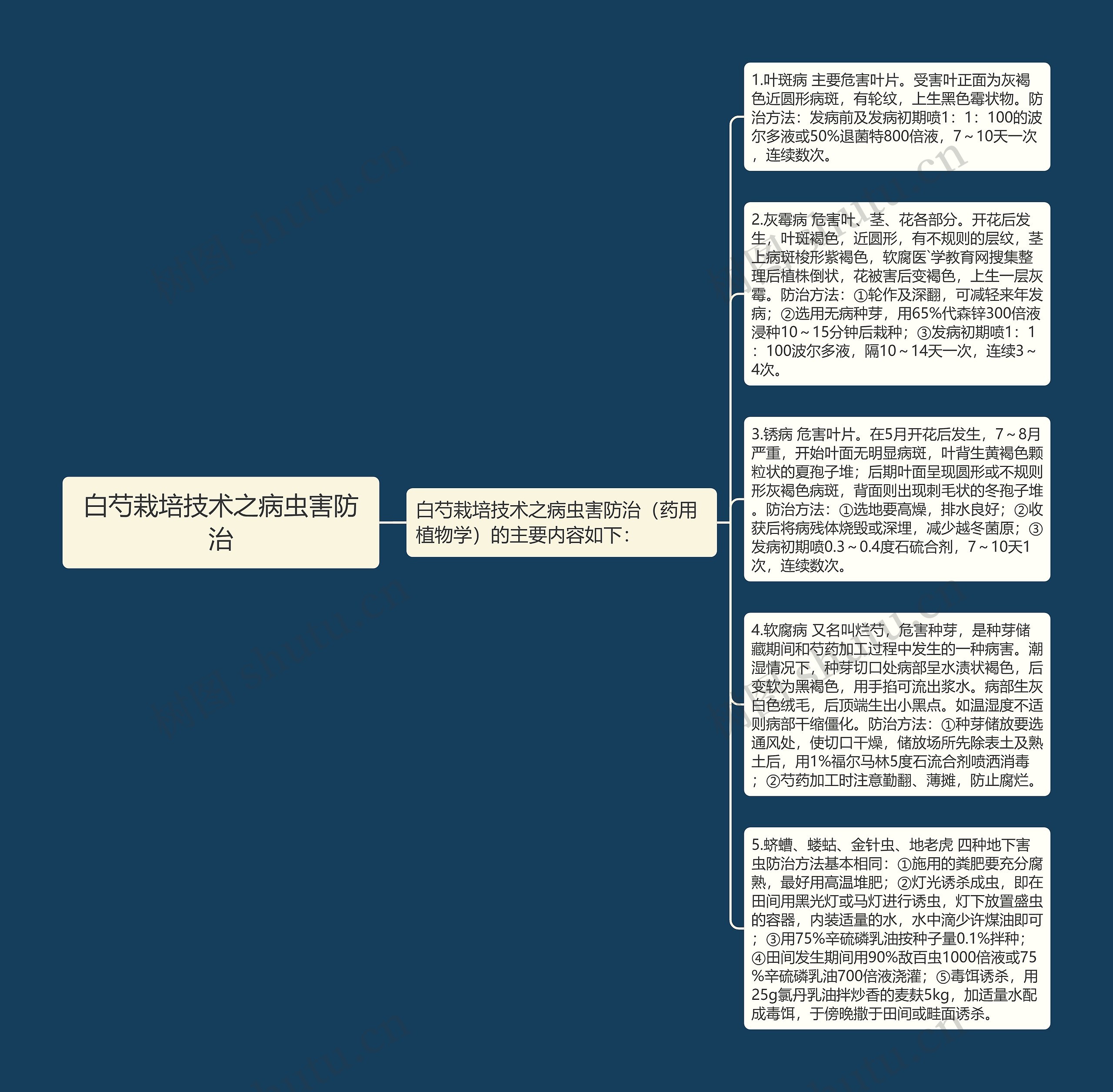 白芍栽培技术之病虫害防治