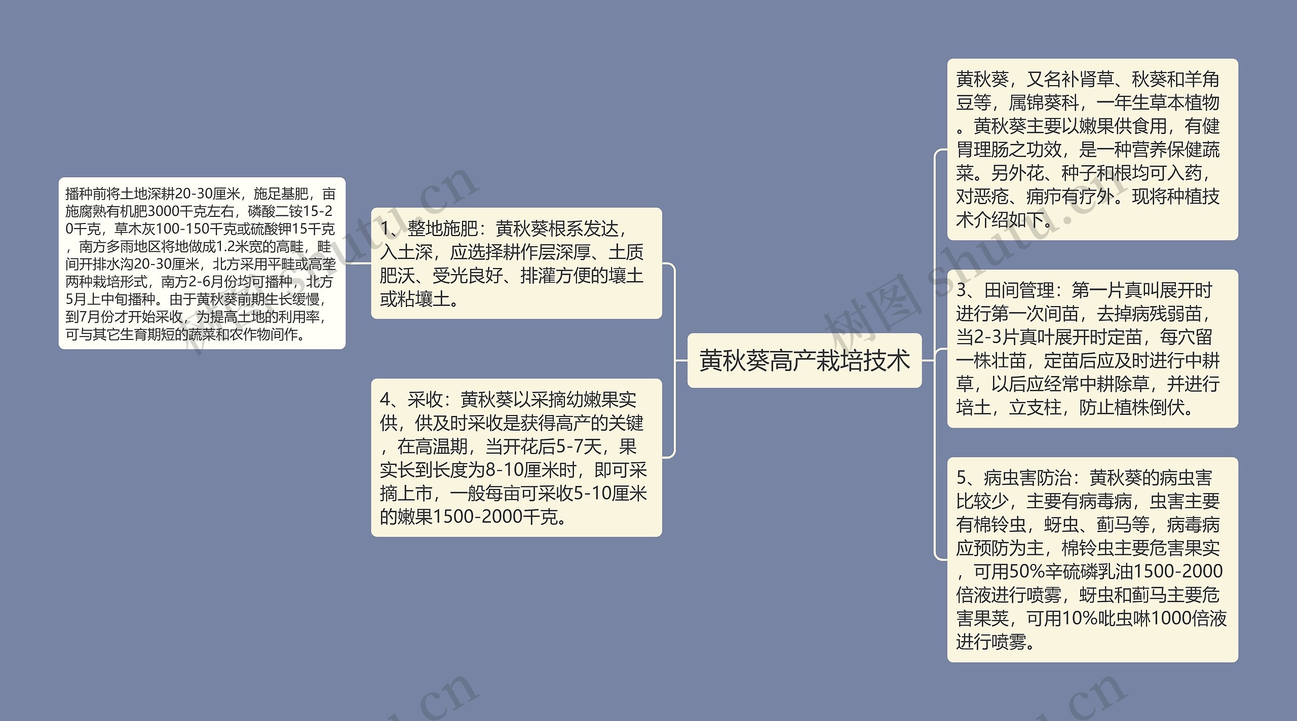 黄秋葵高产栽培技术思维导图