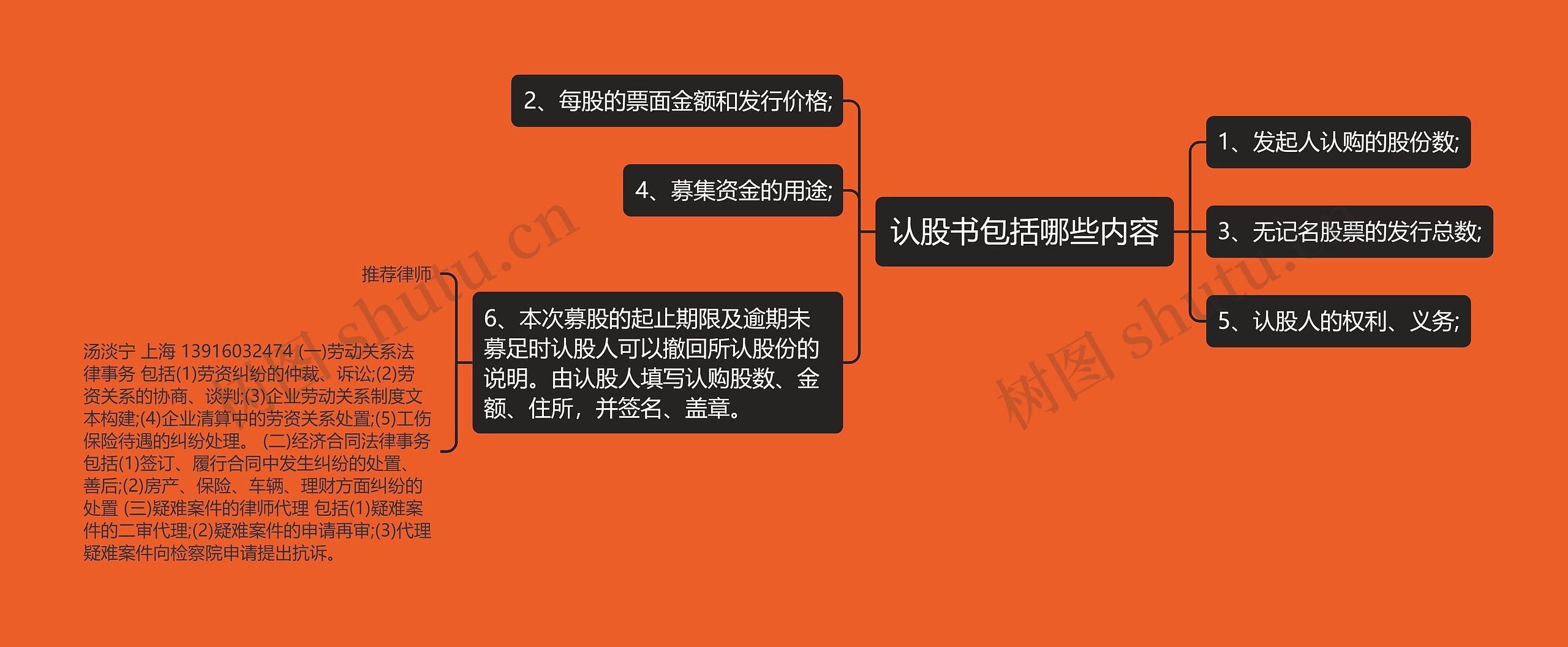 认股书包括哪些内容