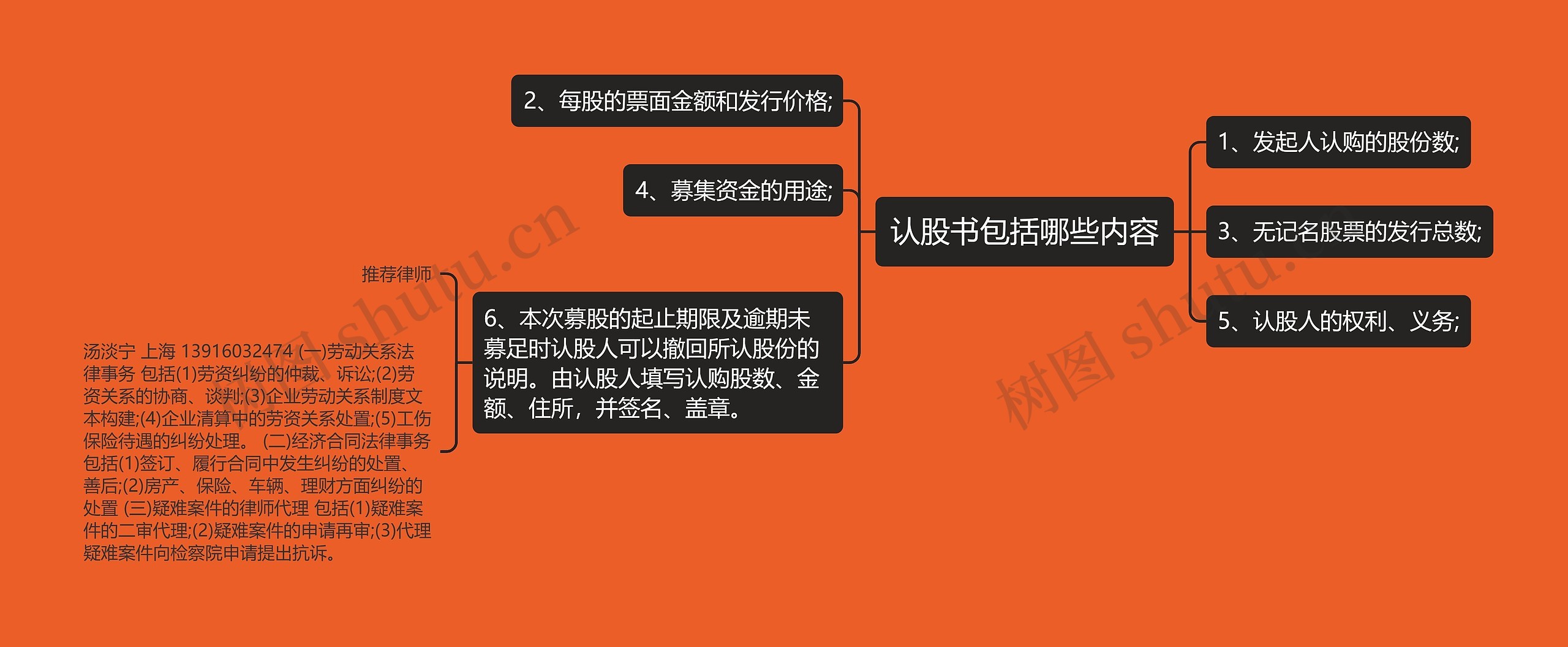 认股书包括哪些内容思维导图