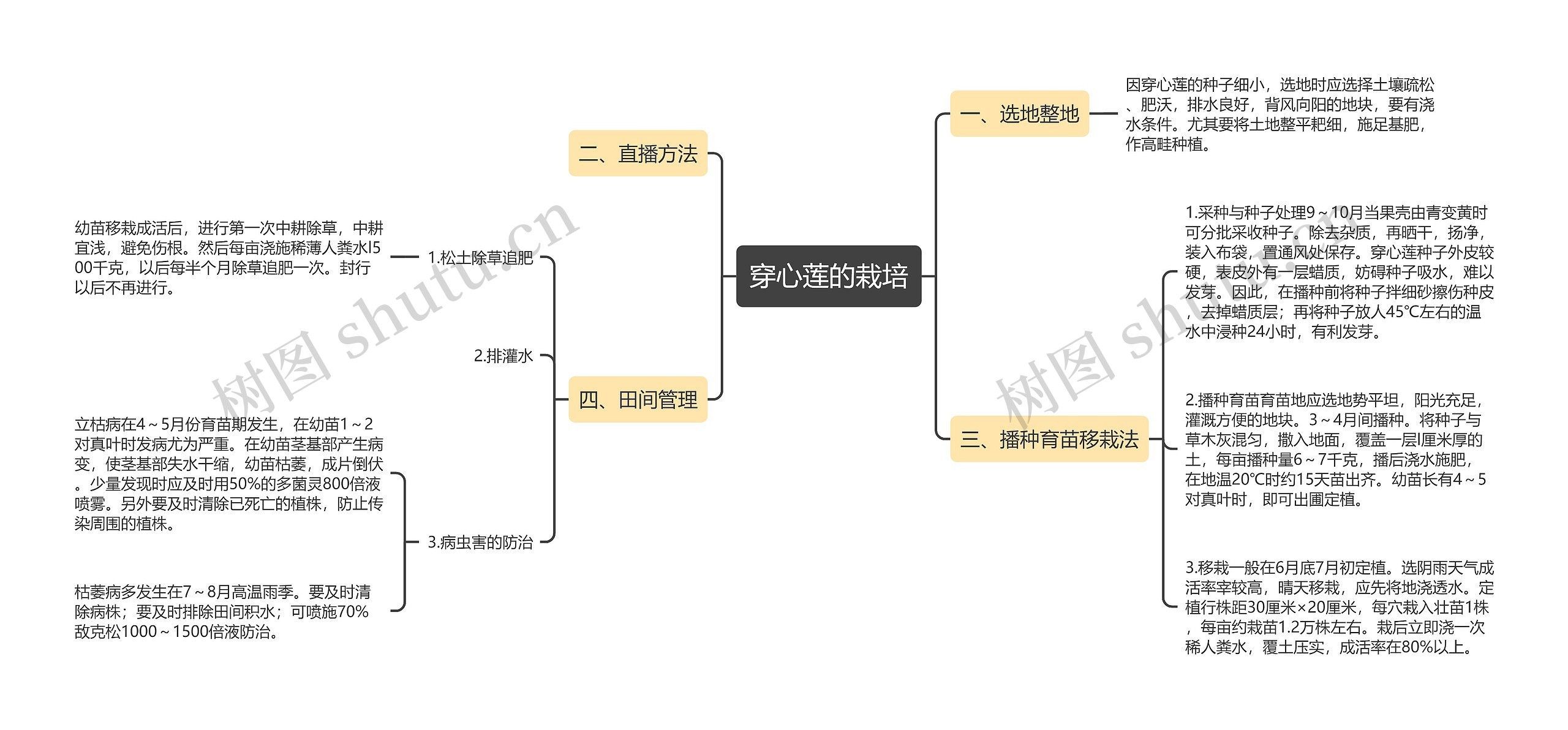 穿心莲的栽培思维导图