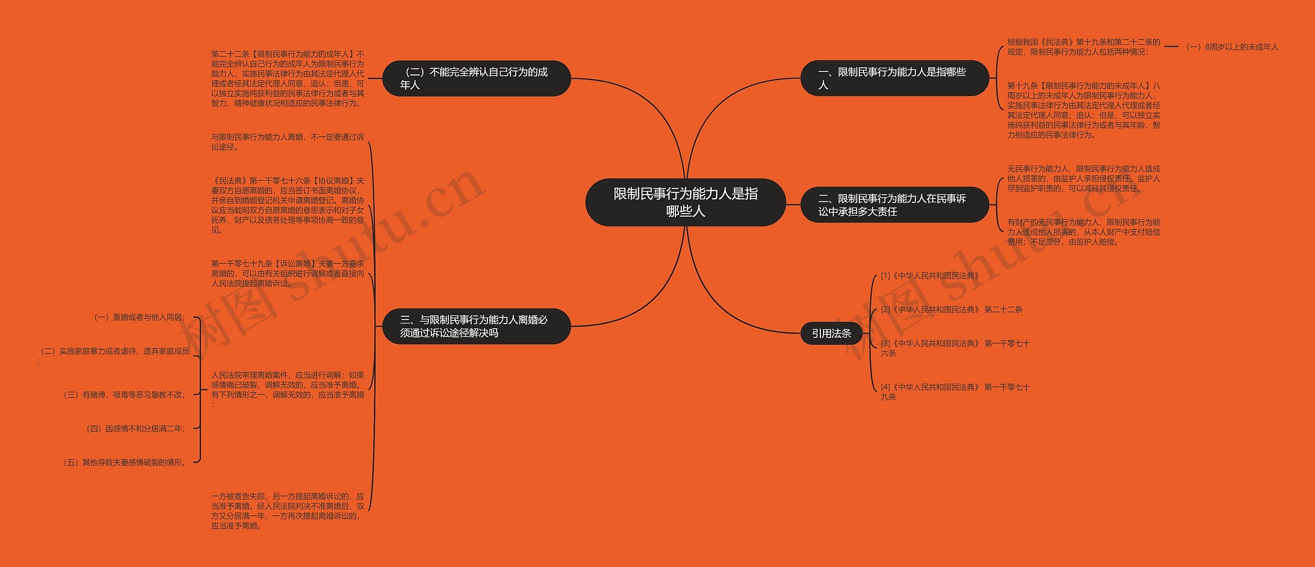 限制民事行为能力人是指哪些人