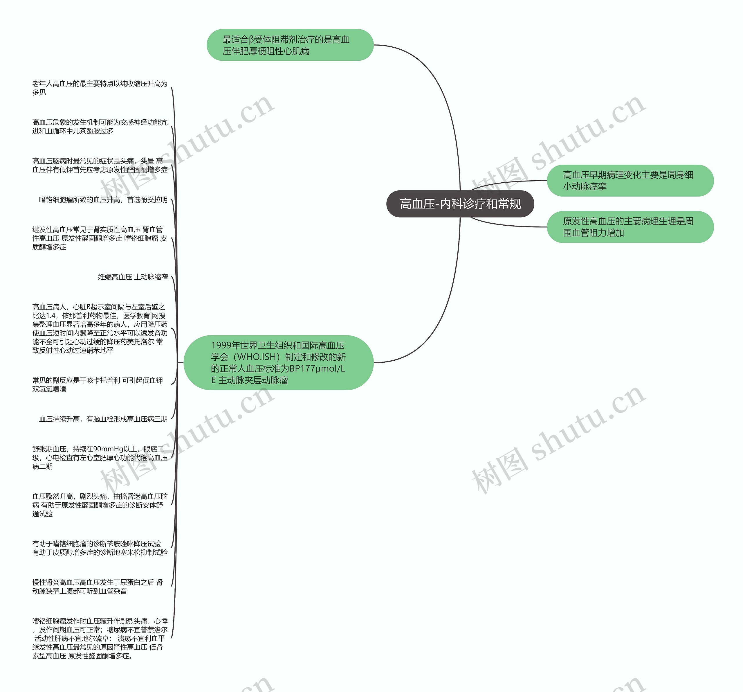 高血压-内科诊疗和常规 高血压-内科诊疗和常规