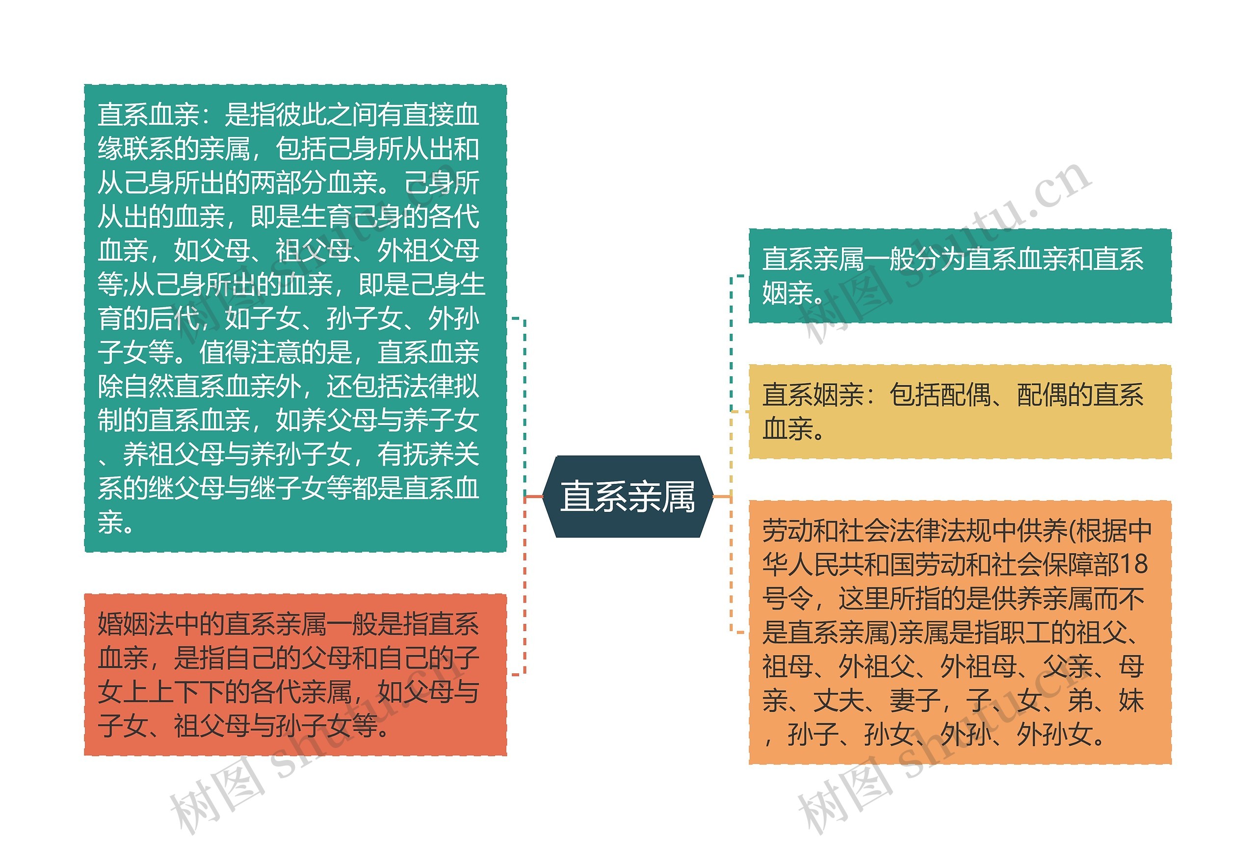 直系亲属思维导图