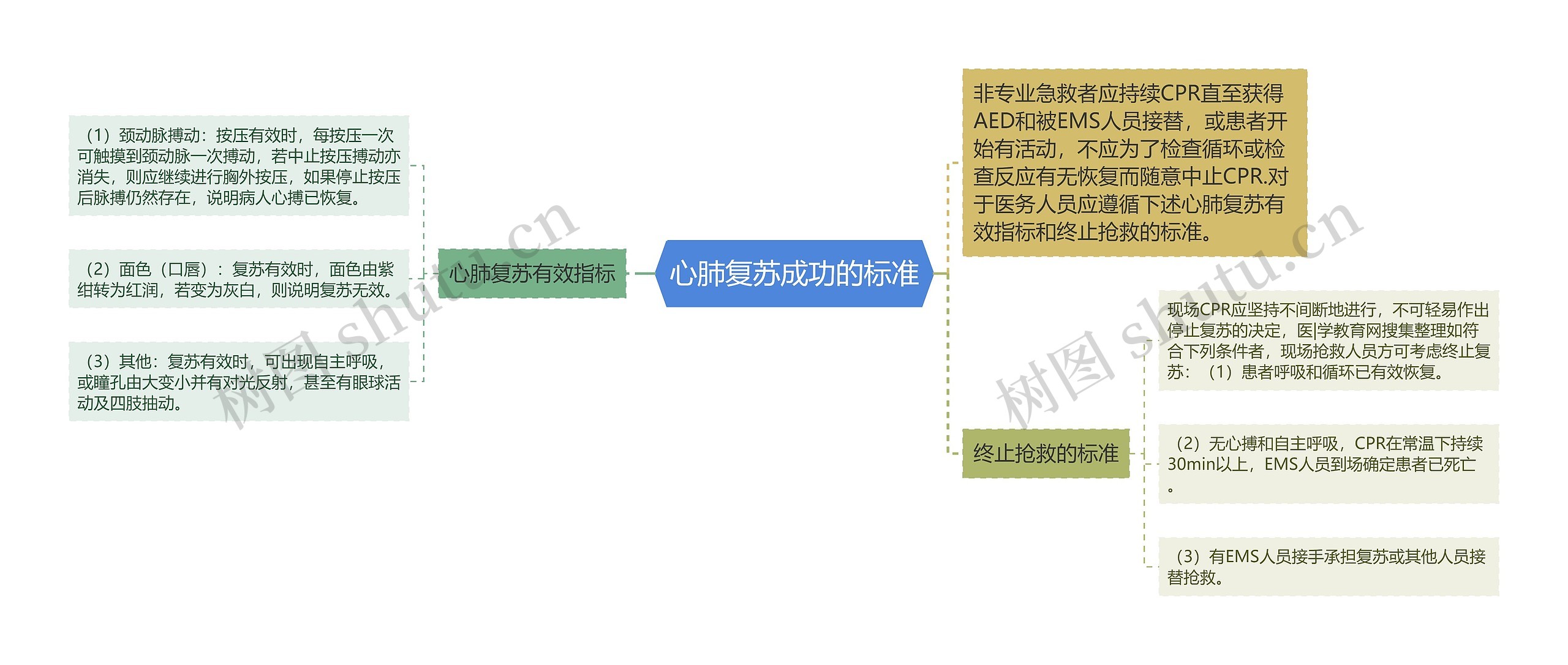 心肺复苏成功的标准思维导图