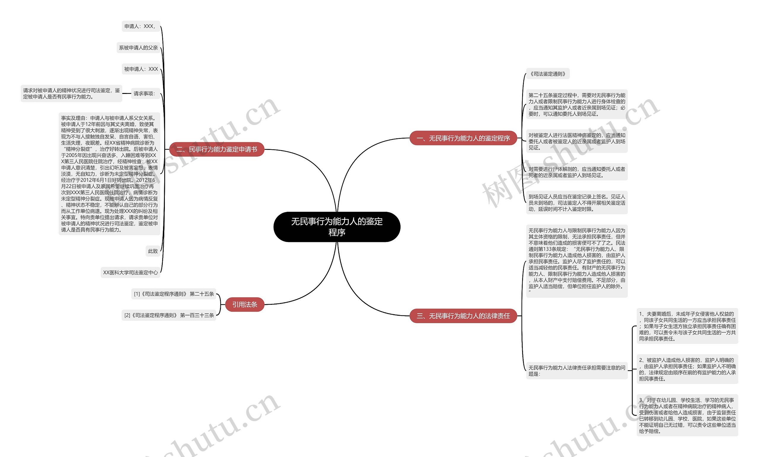 无民事行为能力人的鉴定程序思维导图