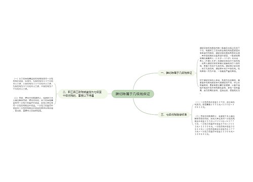 脾切除属于几级残疾证