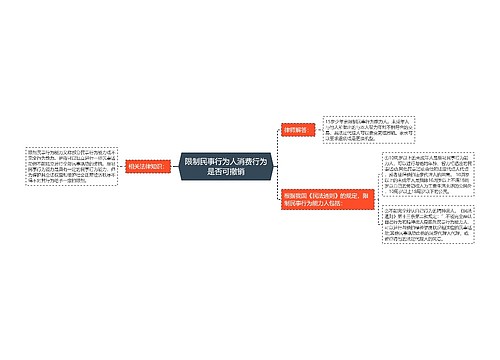 限制民事行为人消费行为是否可撤销