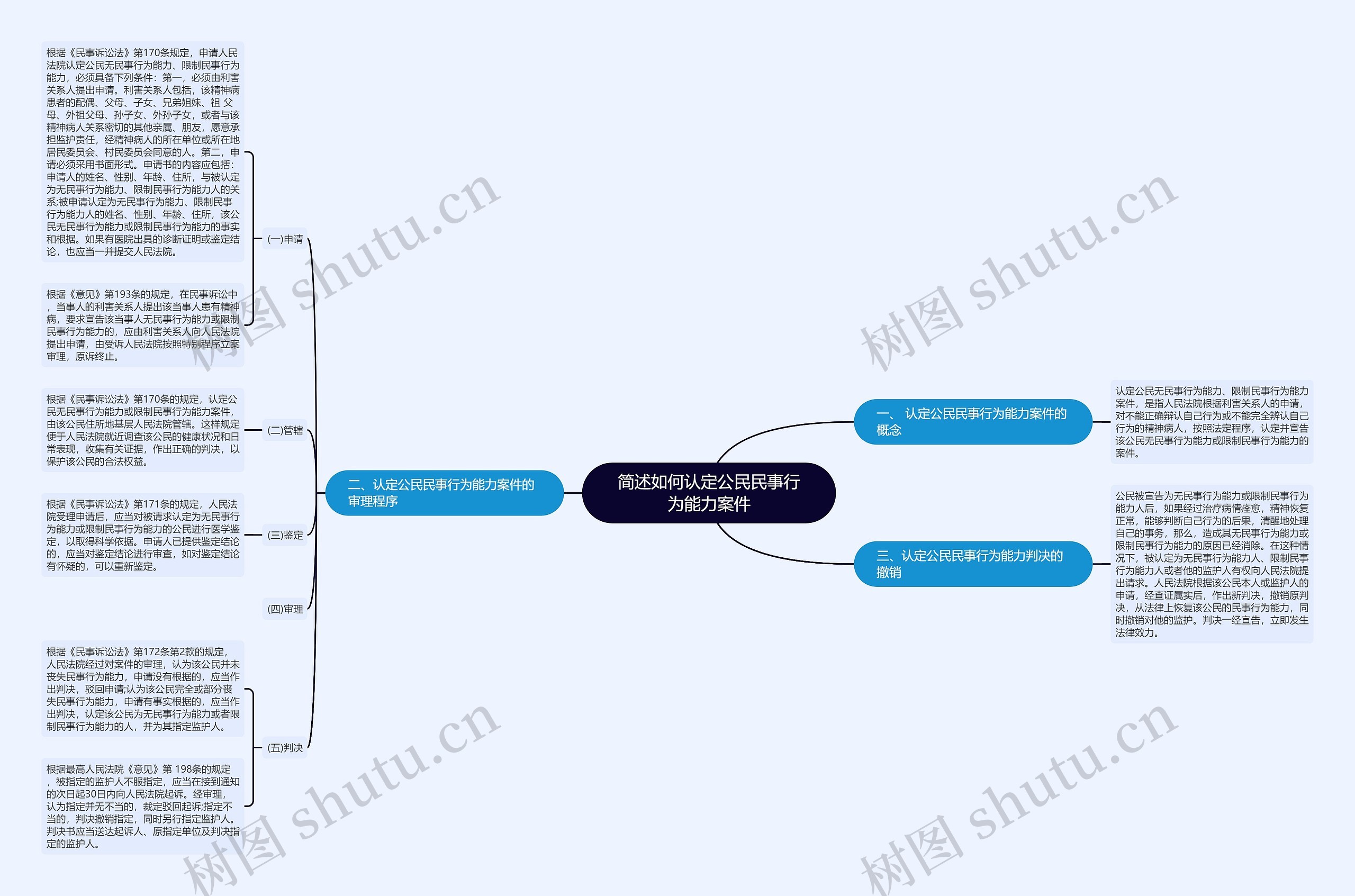简述如何认定公民民事行为能力案件思维导图