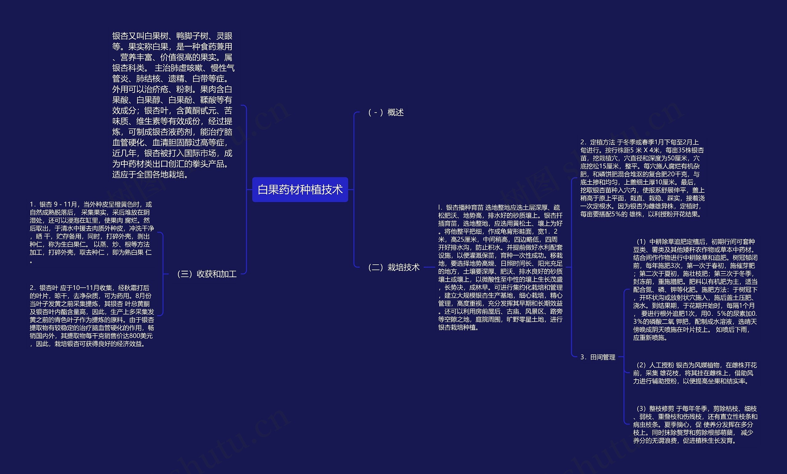 白果药材种植技术思维导图