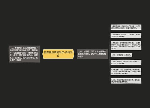 脑血栓应该的治疗-内科治疗