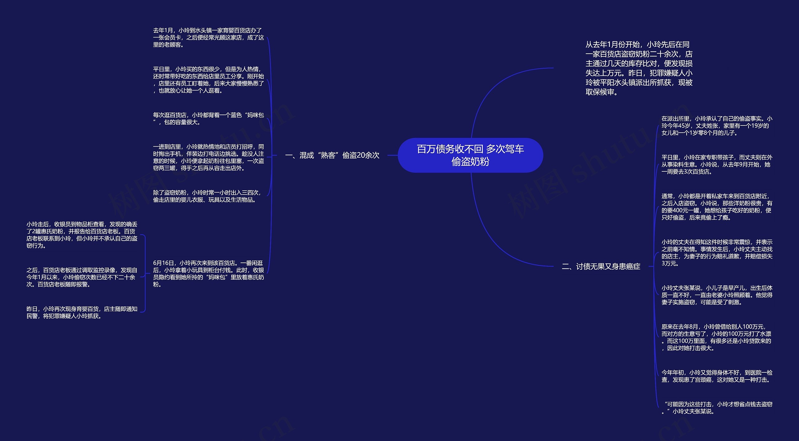 百万债务收不回 多次驾车偷盗奶粉思维导图