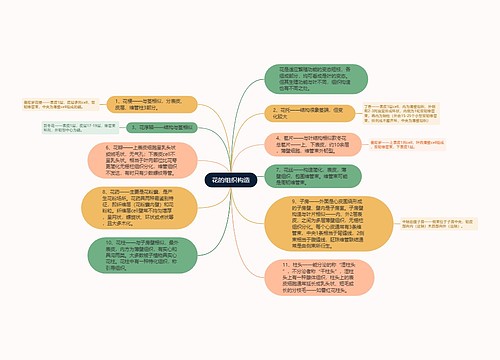 花的组织构造