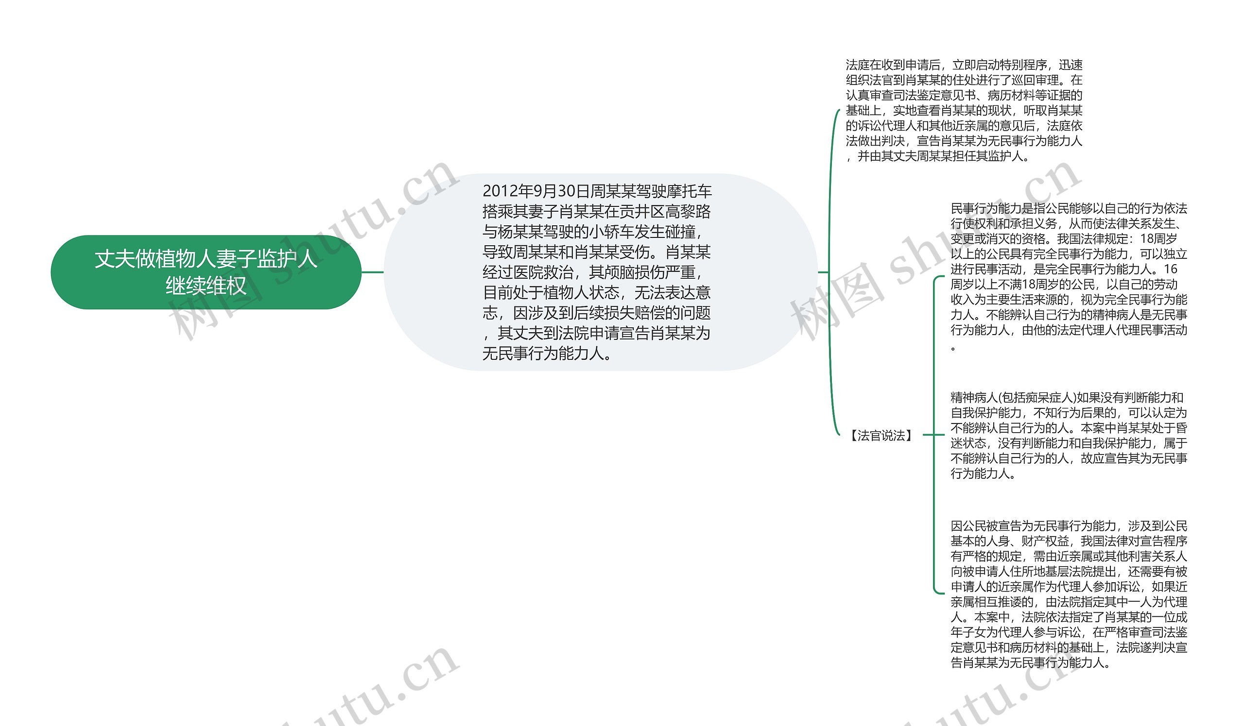 丈夫做植物人妻子监护人继续维权思维导图