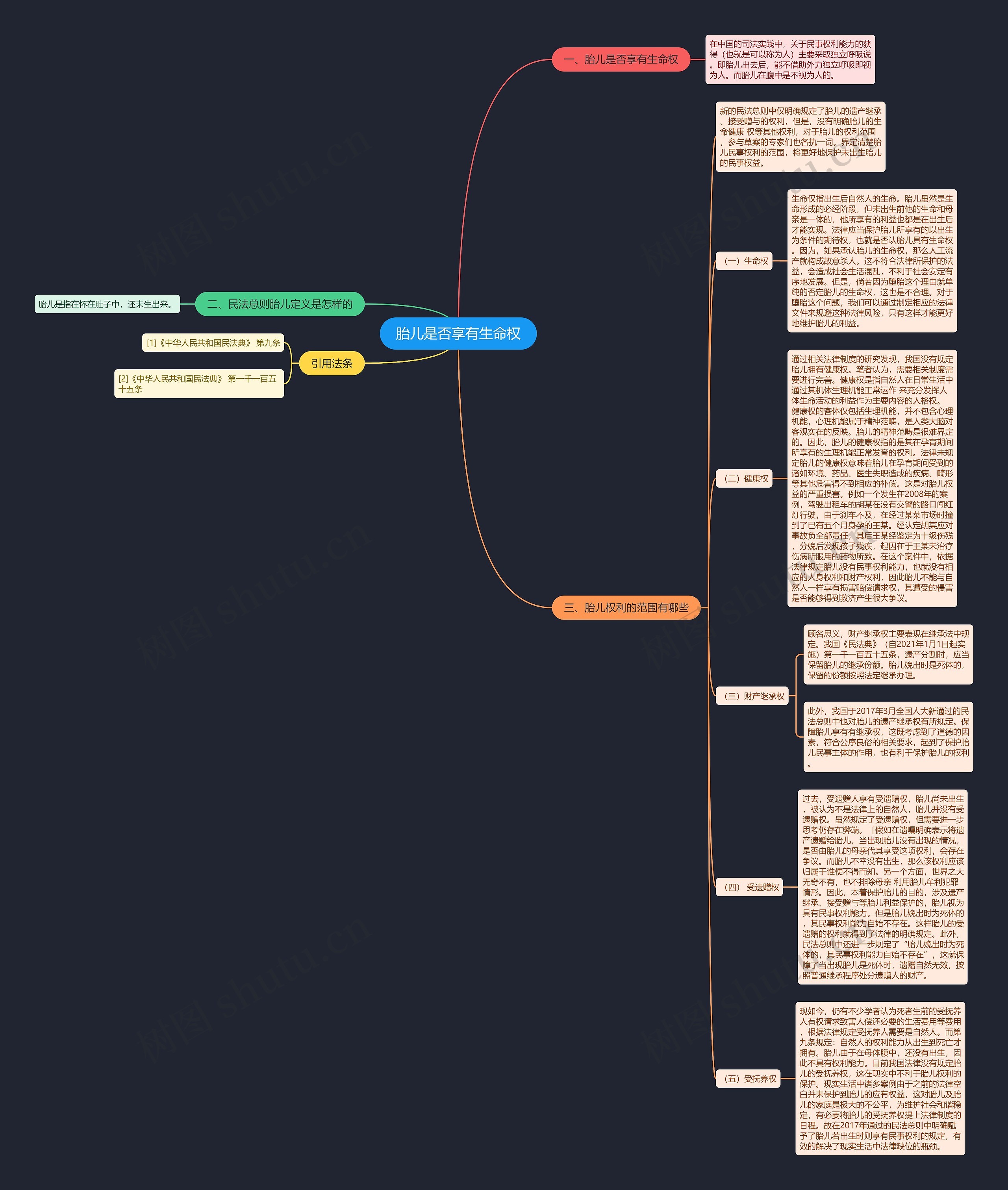 胎儿是否享有生命权思维导图