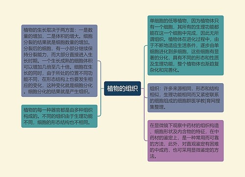 植物的组织