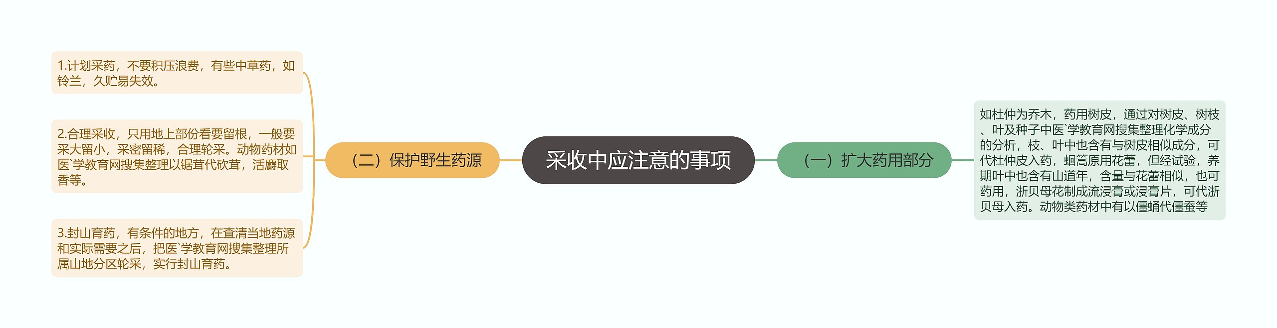 采收中应注意的事项思维导图