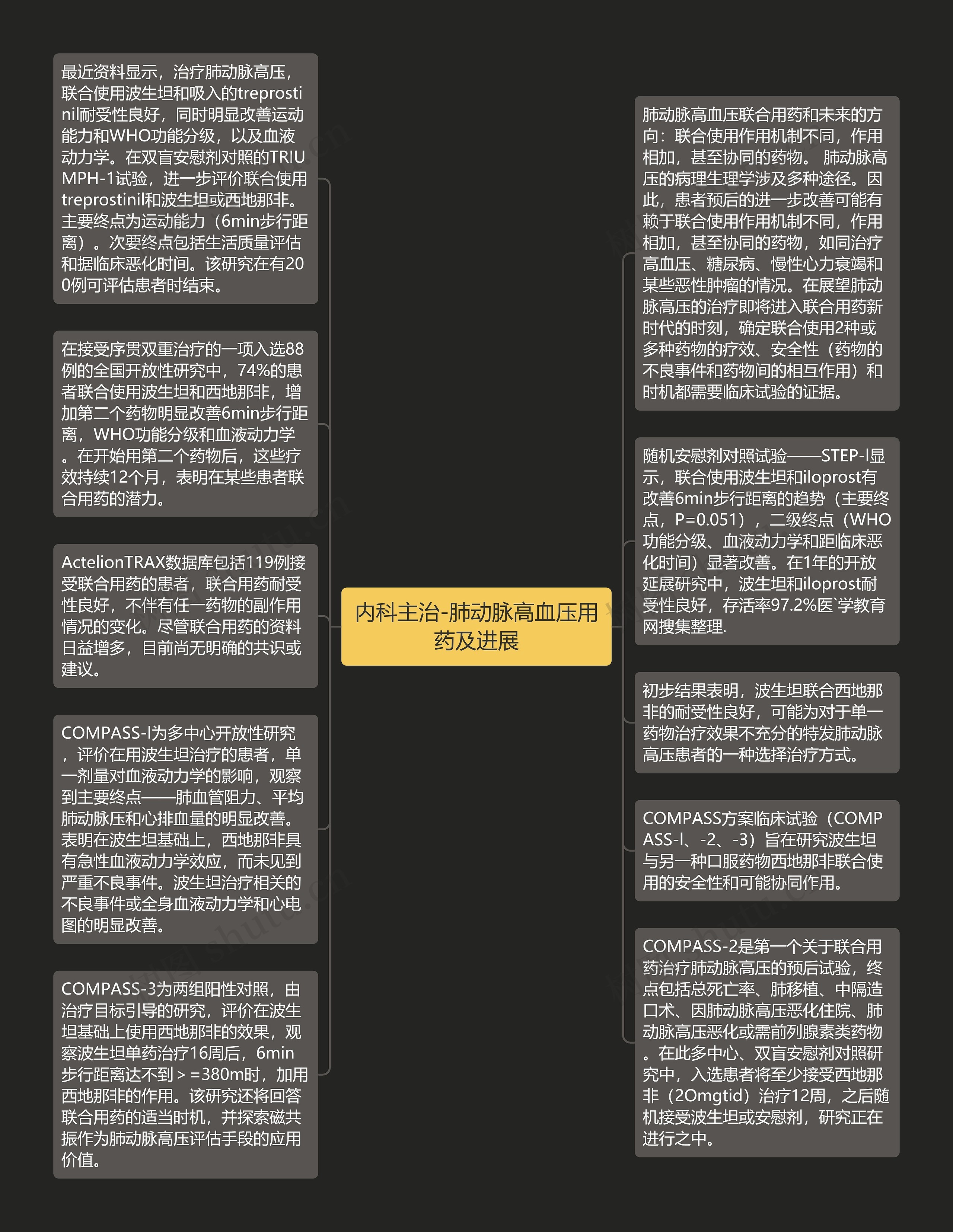 内科主治-肺动脉高血压用药及进展思维导图