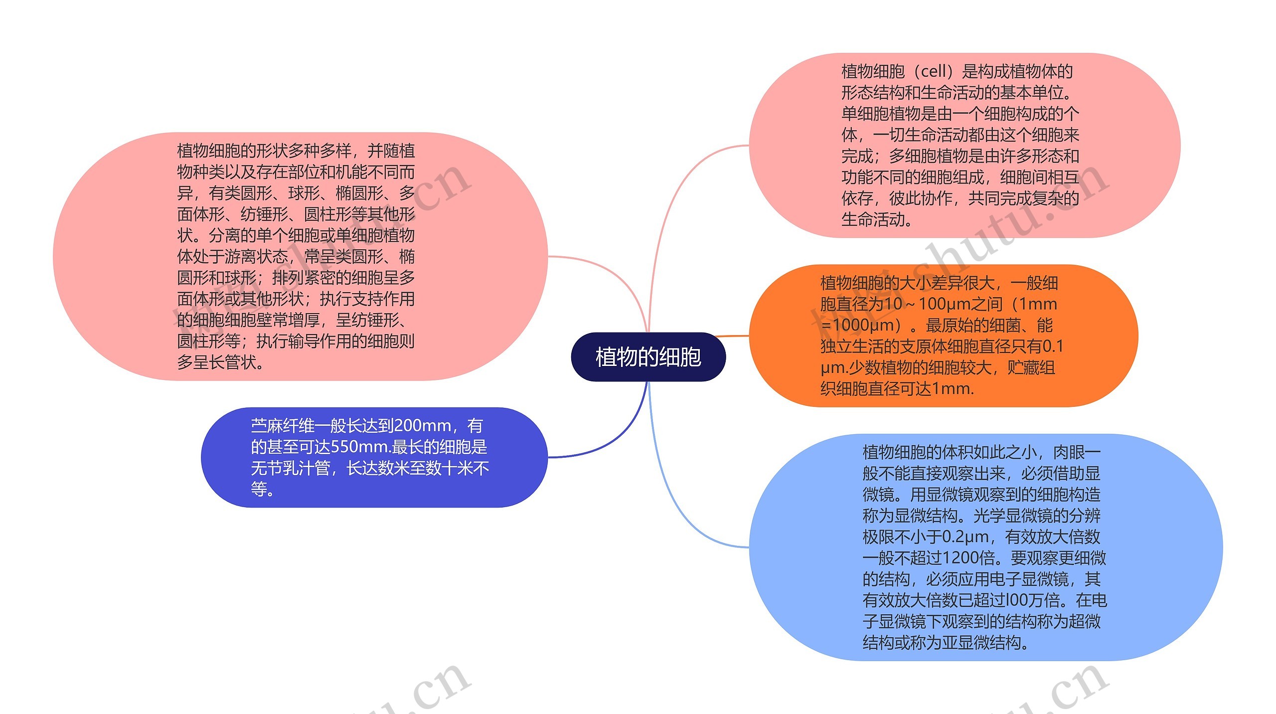 植物的细胞思维导图