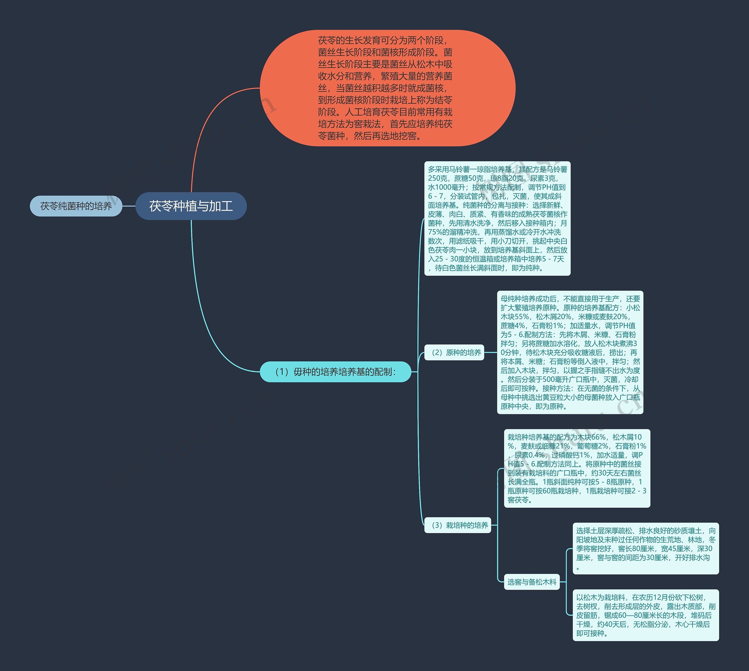 茯苓种植与加工 茯苓种植与加工
