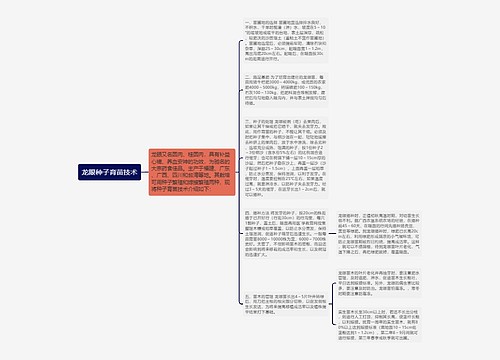 龙眼种子育苗技术