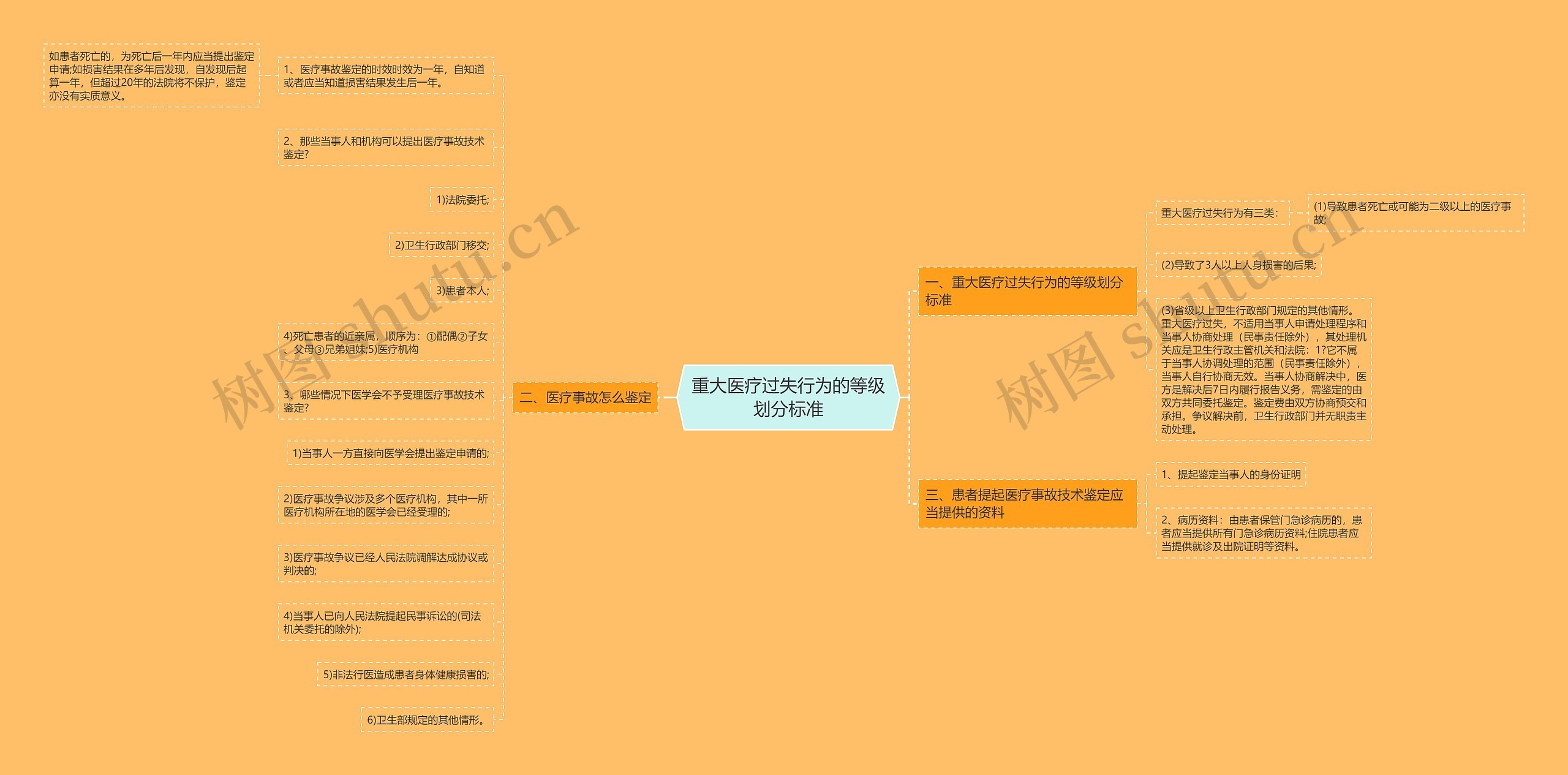 重大医疗过失行为的等级划分标准思维导图