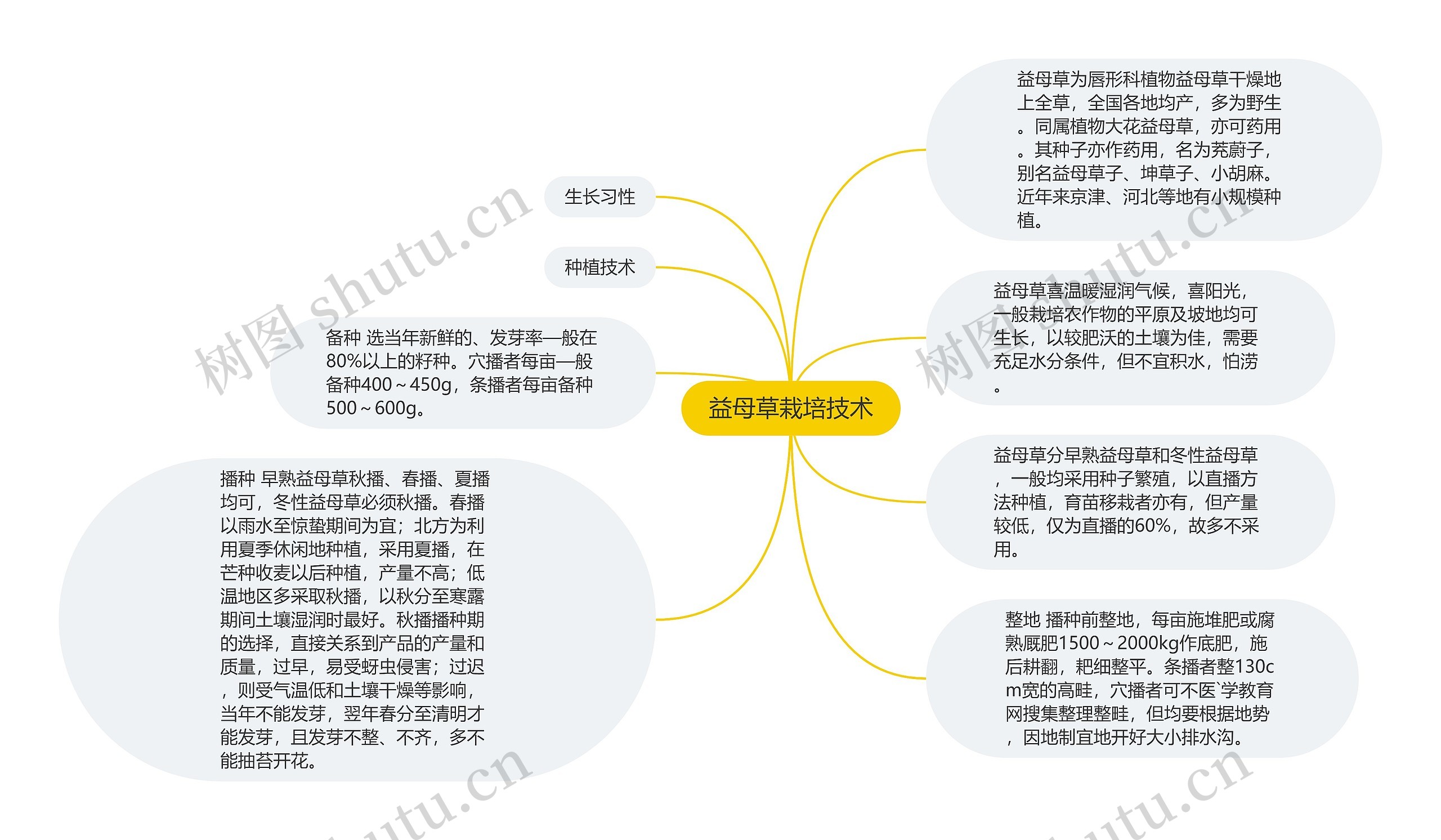 益母草栽培技术思维导图