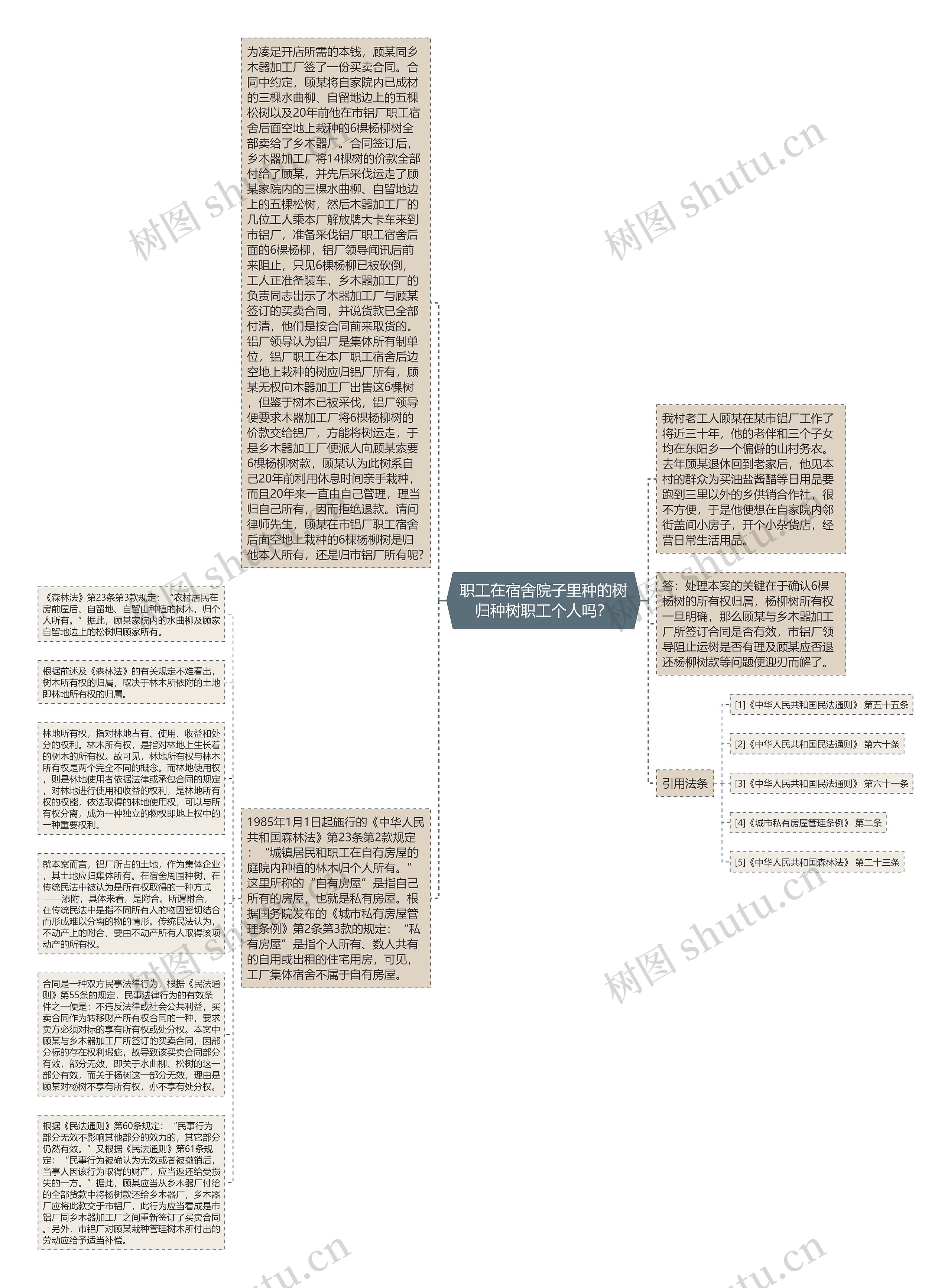 职工在宿舍院子里种的树归种树职工个人吗？思维导图