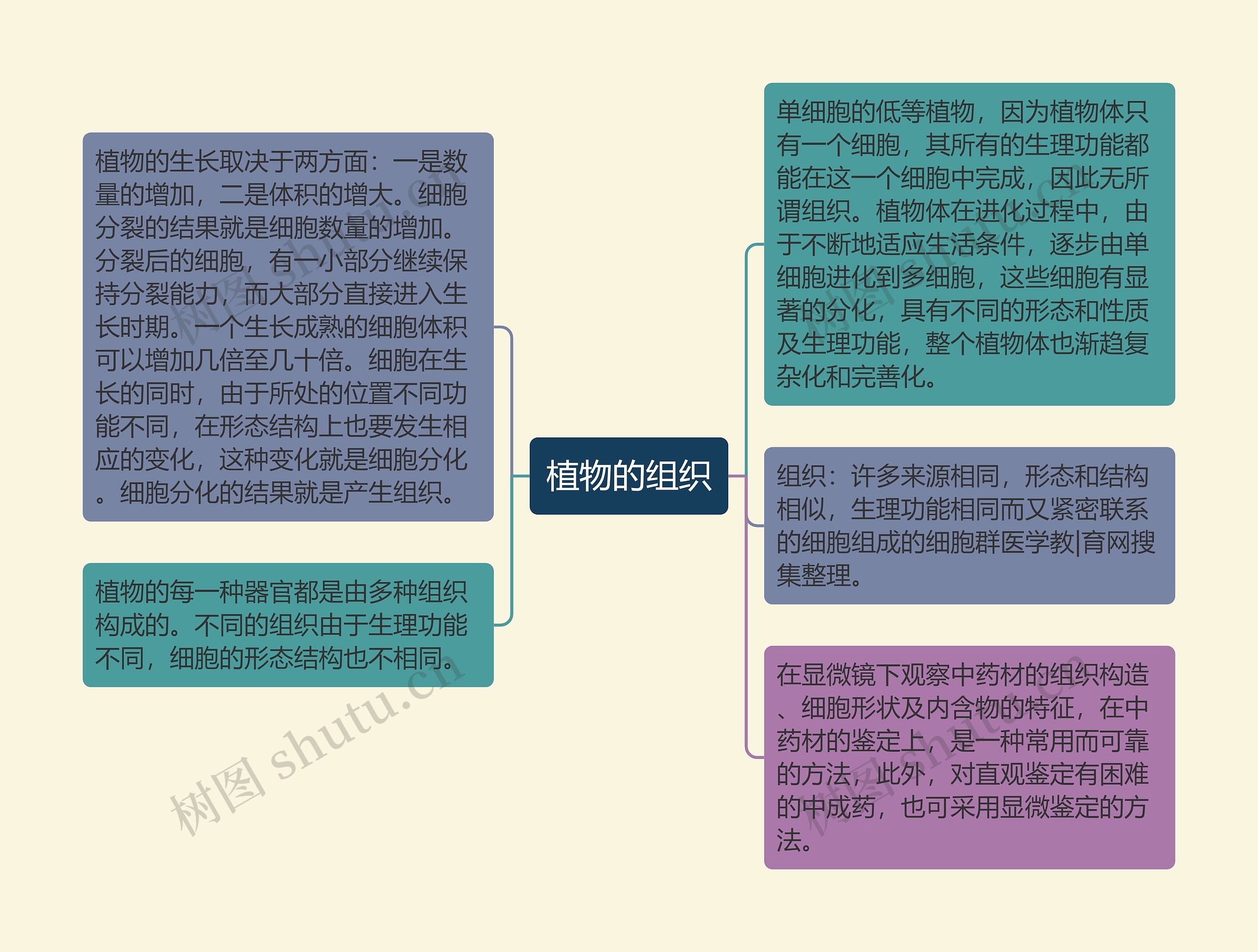 植物的组织思维导图