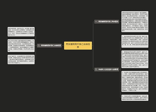 男孩撞限高杆身亡由谁担责