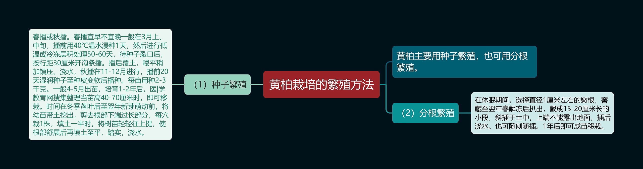 黄柏栽培的繁殖方法思维导图