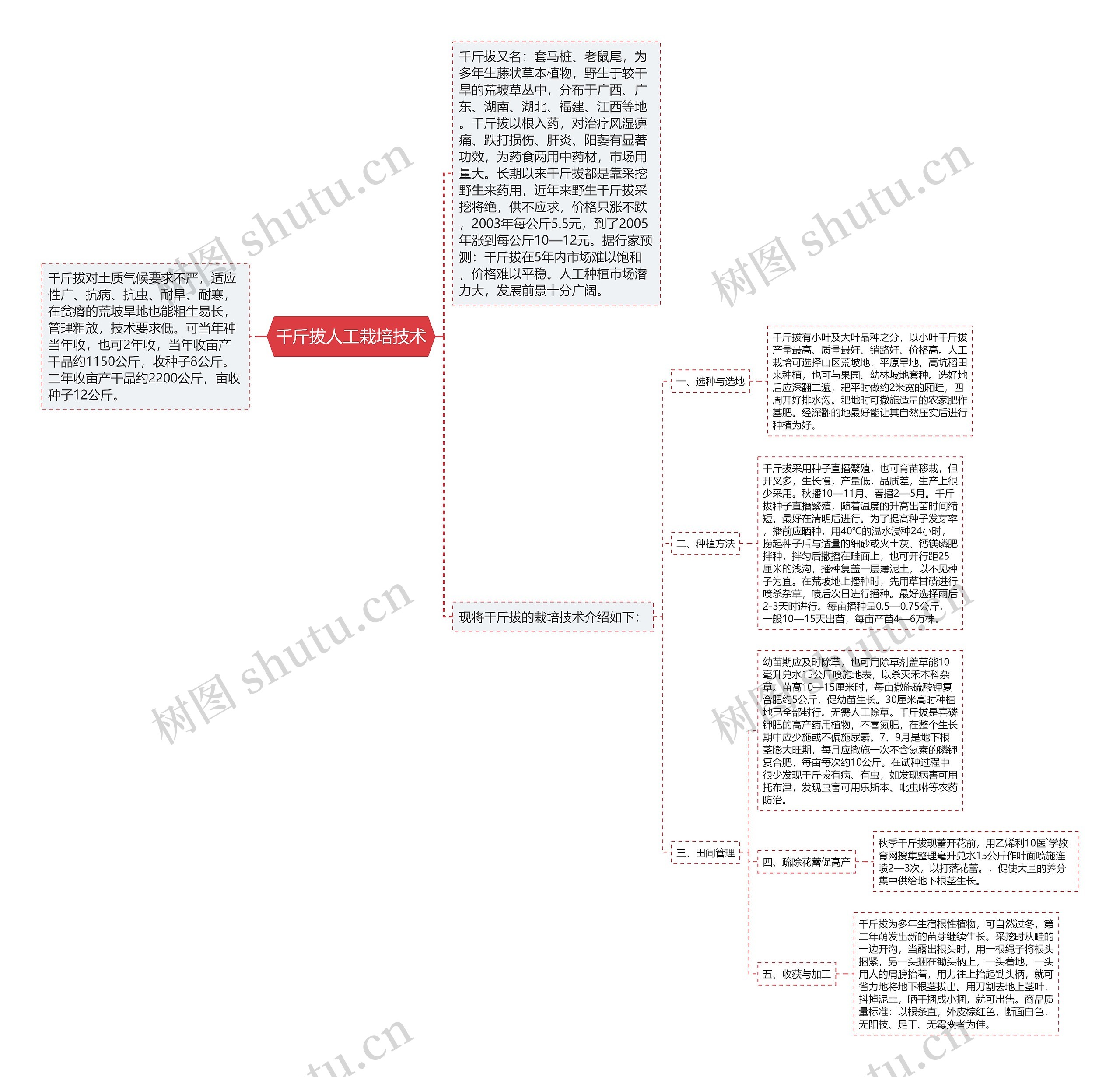 千斤拔人工栽培技术思维导图