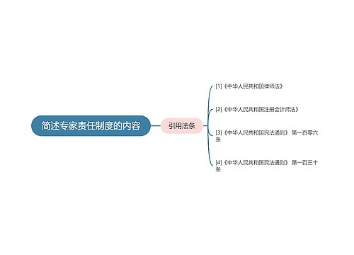 简述专家责任制度的内容