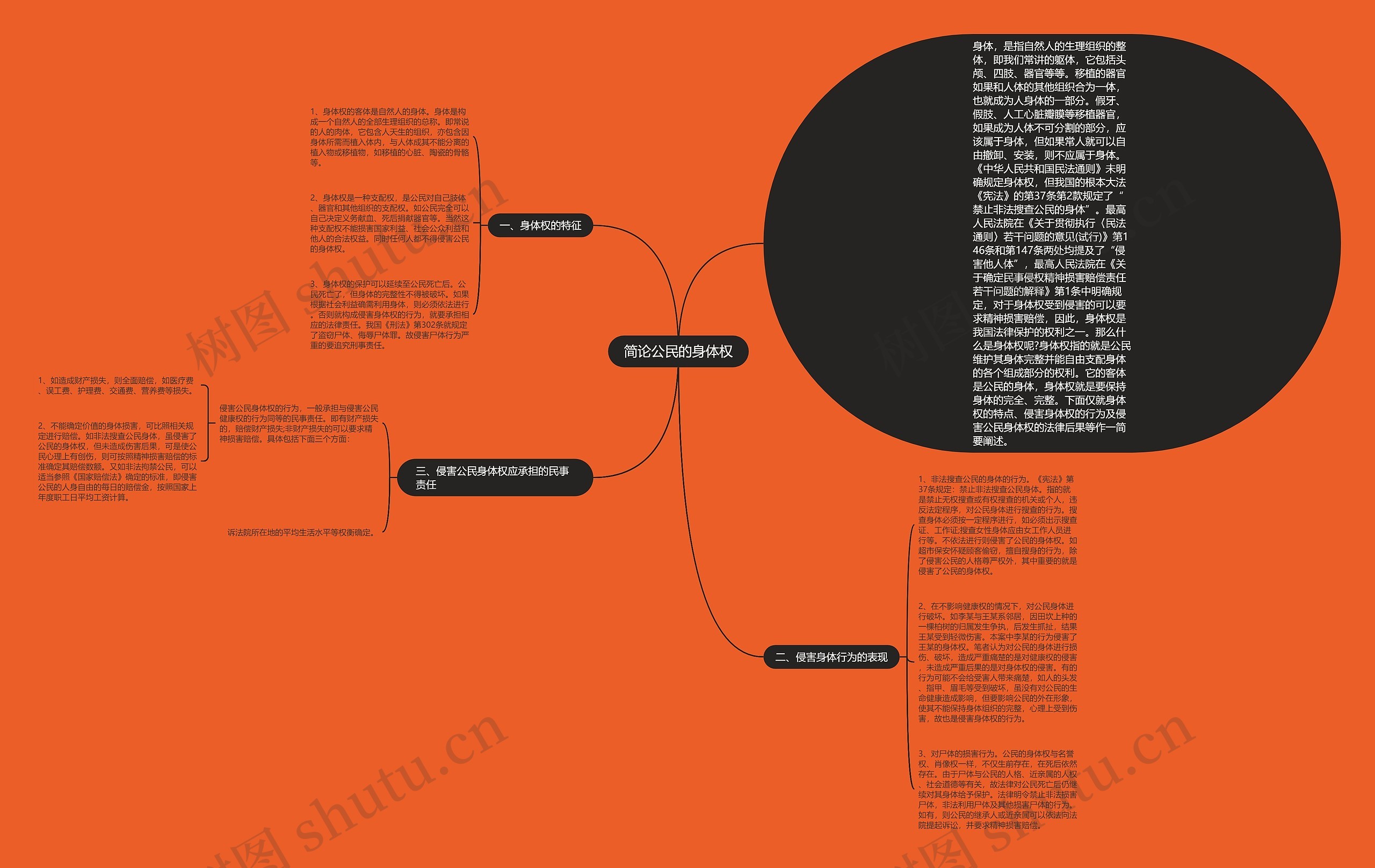 简论公民的身体权思维导图