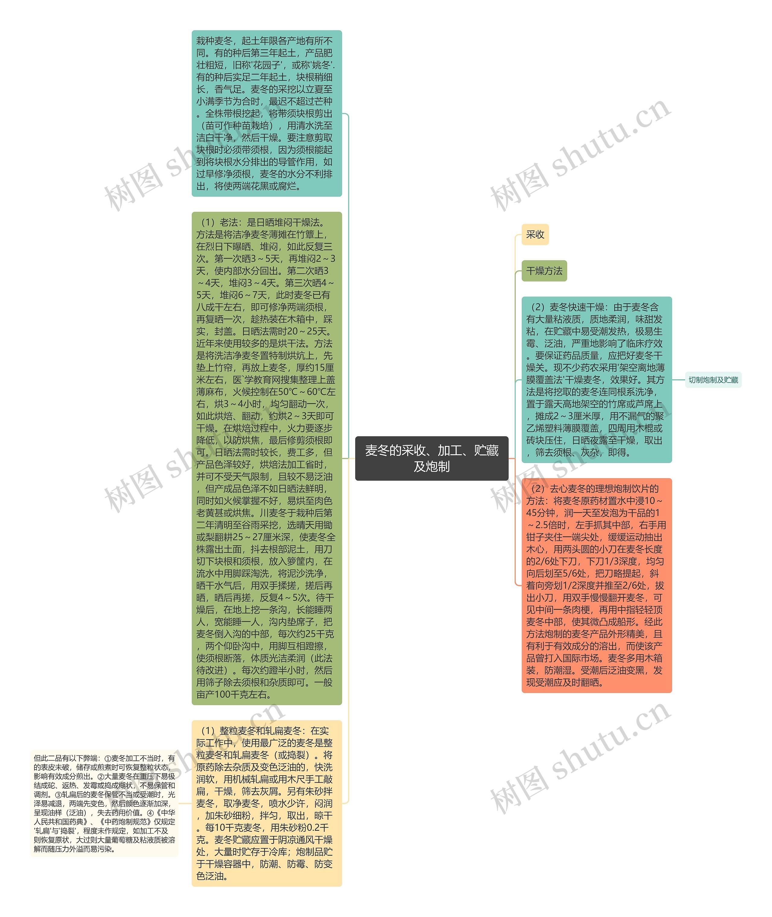 麦冬的采收、加工、贮藏及炮制思维导图