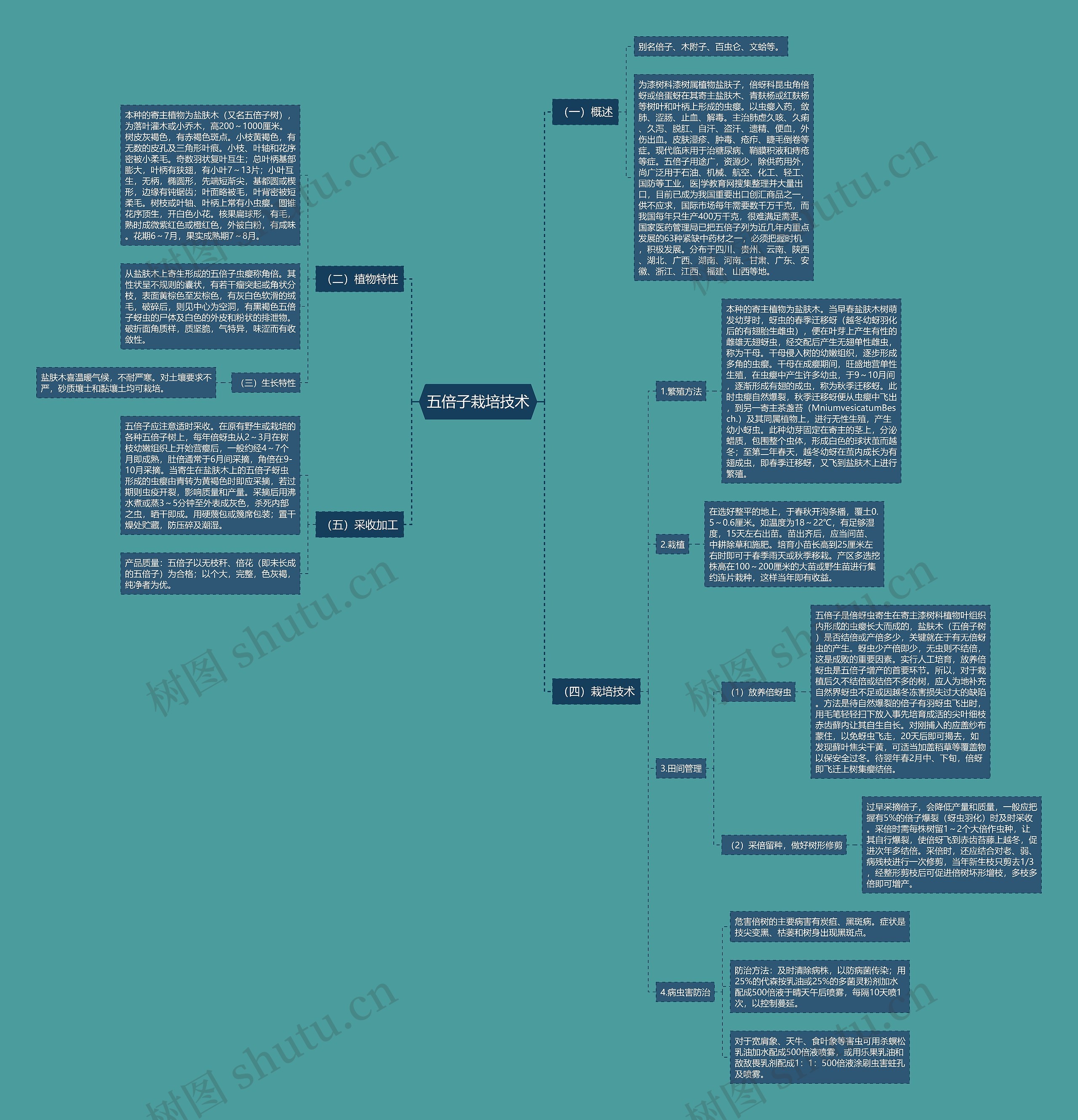 五倍子栽培技术思维导图