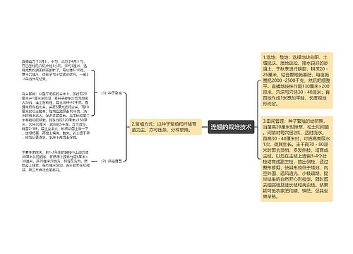 连翘的栽培技术思维导图