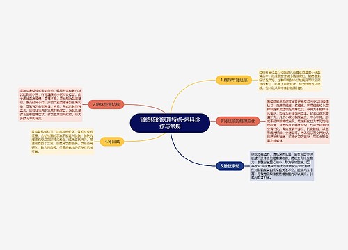 肾结核的病理特点-内科诊疗与常规