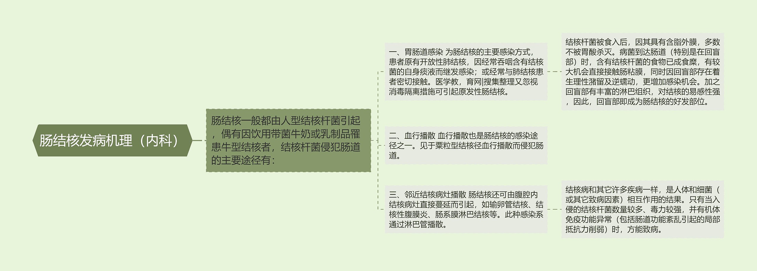 肠结核发病机理（内科）思维导图