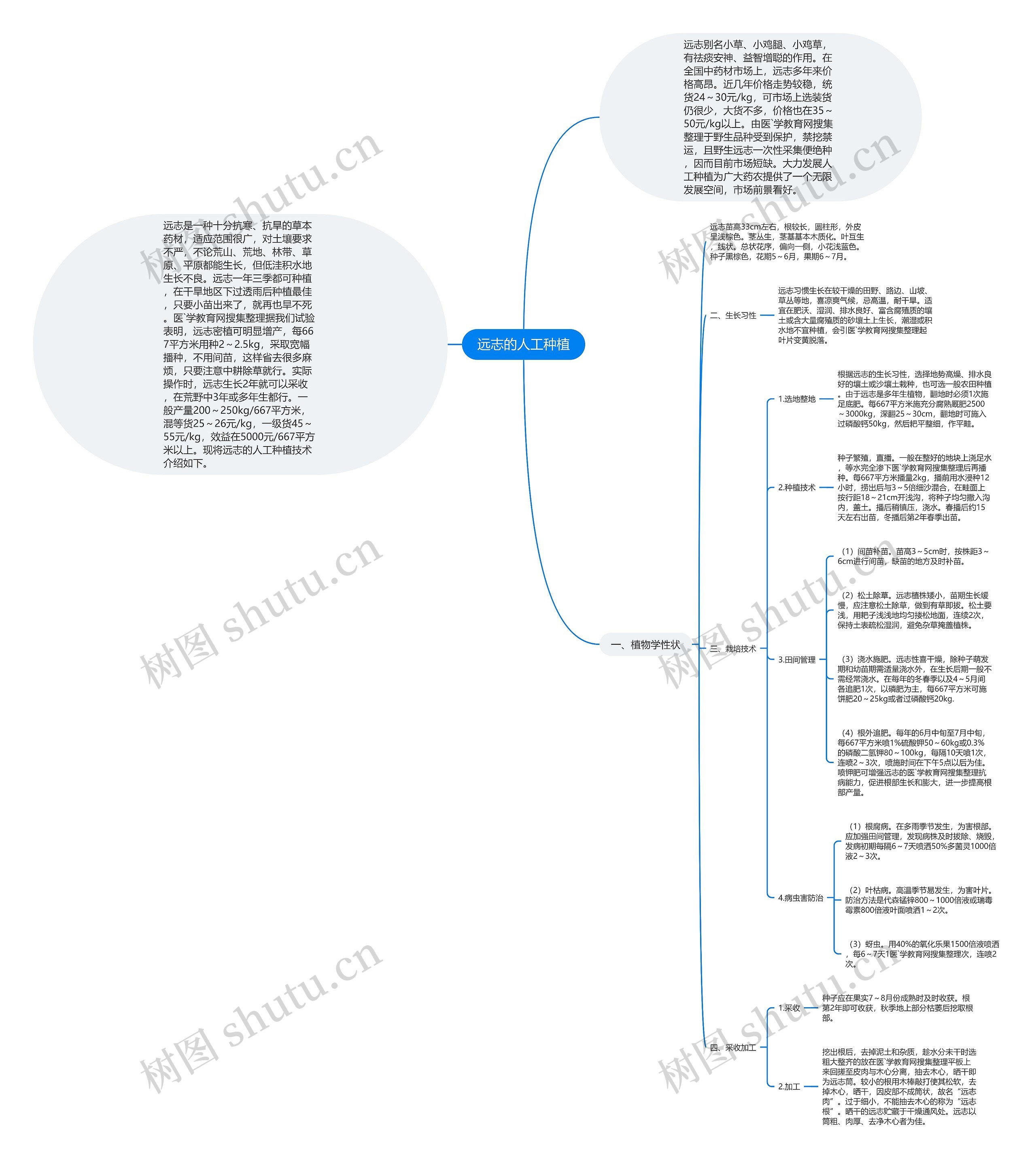 远志的人工种植思维导图