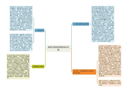 股东行使救济权的诉讼问题