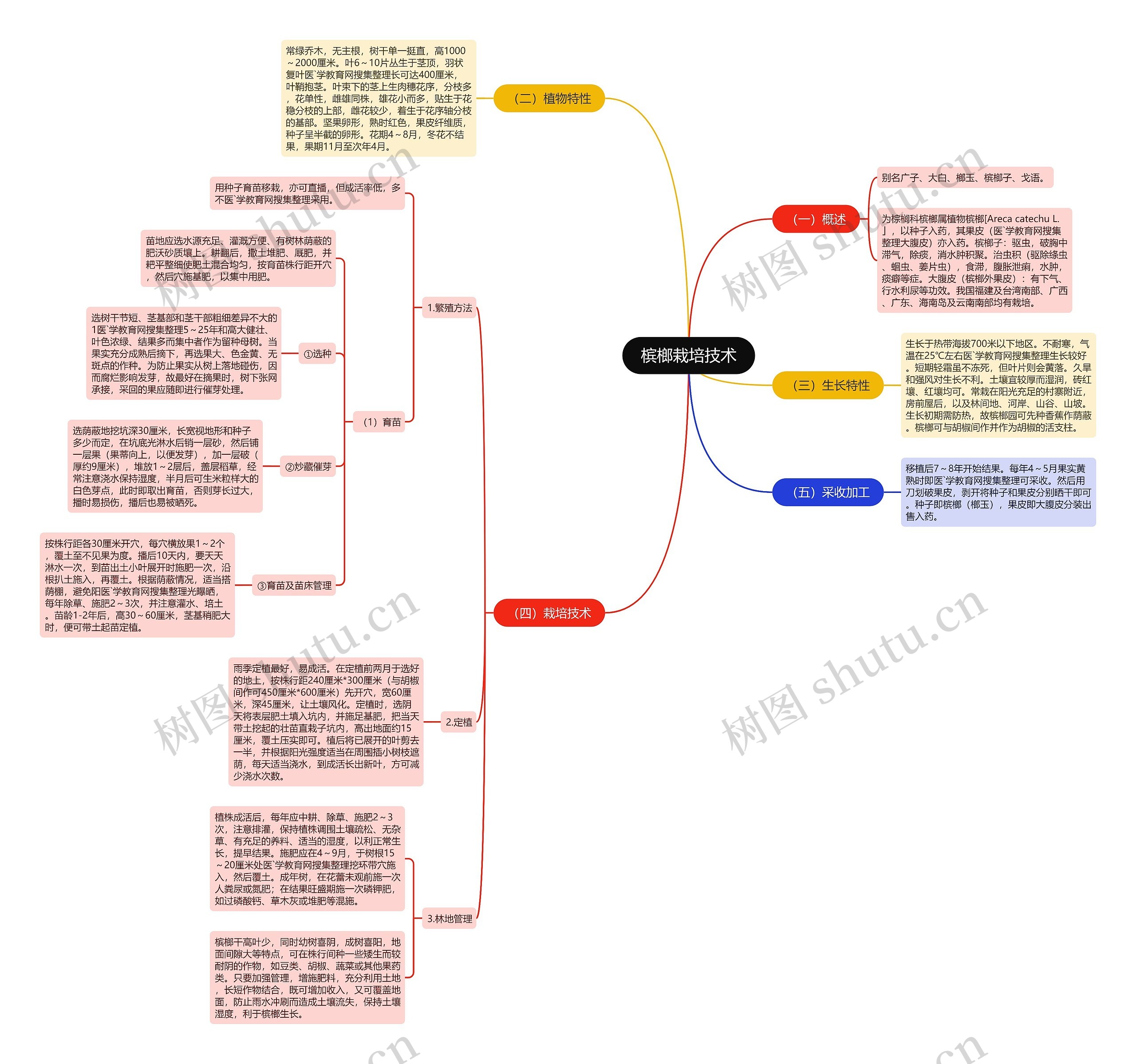槟榔栽培技术思维导图