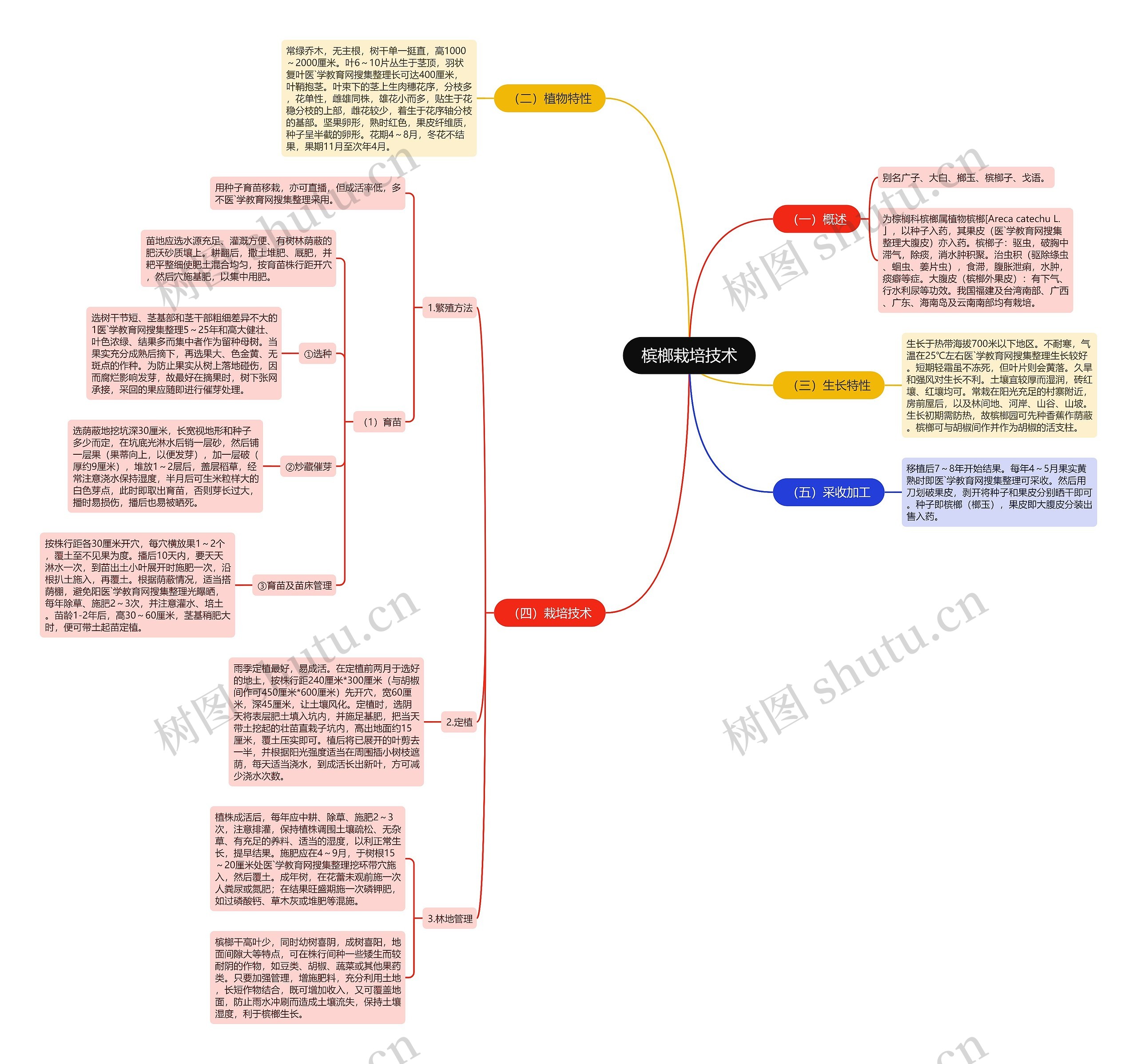 槟榔栽培技术 槟榔栽培技术
