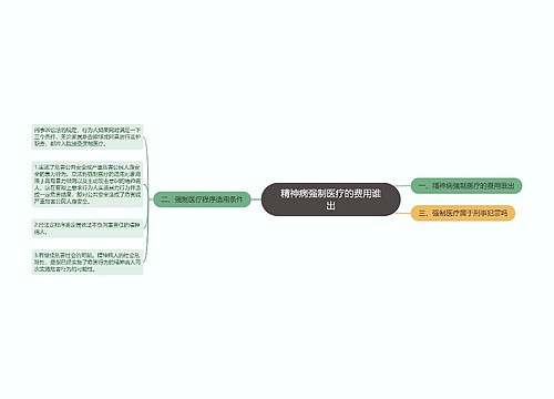 精神病强制医疗的费用谁出