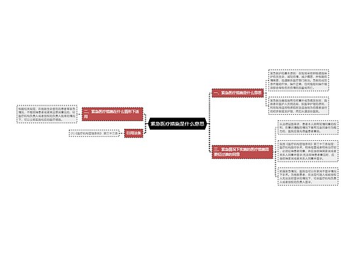 紧急医疗措施是什么意思