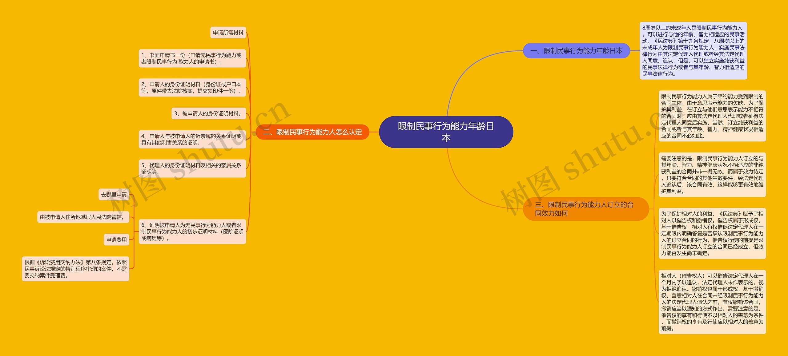 限制民事行为能力年龄日本思维导图