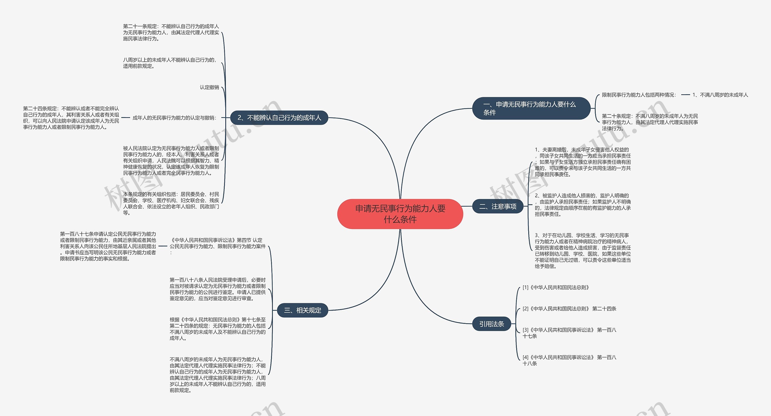 申请无民事行为能力人要什么条件思维导图