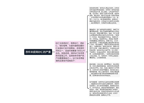 怎样来提高砂仁的产量思维导图